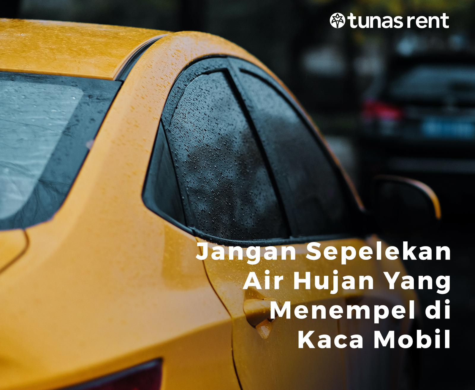 Jangan Sepelekan Air Hujan Yang Menempel di Kaca Mobil